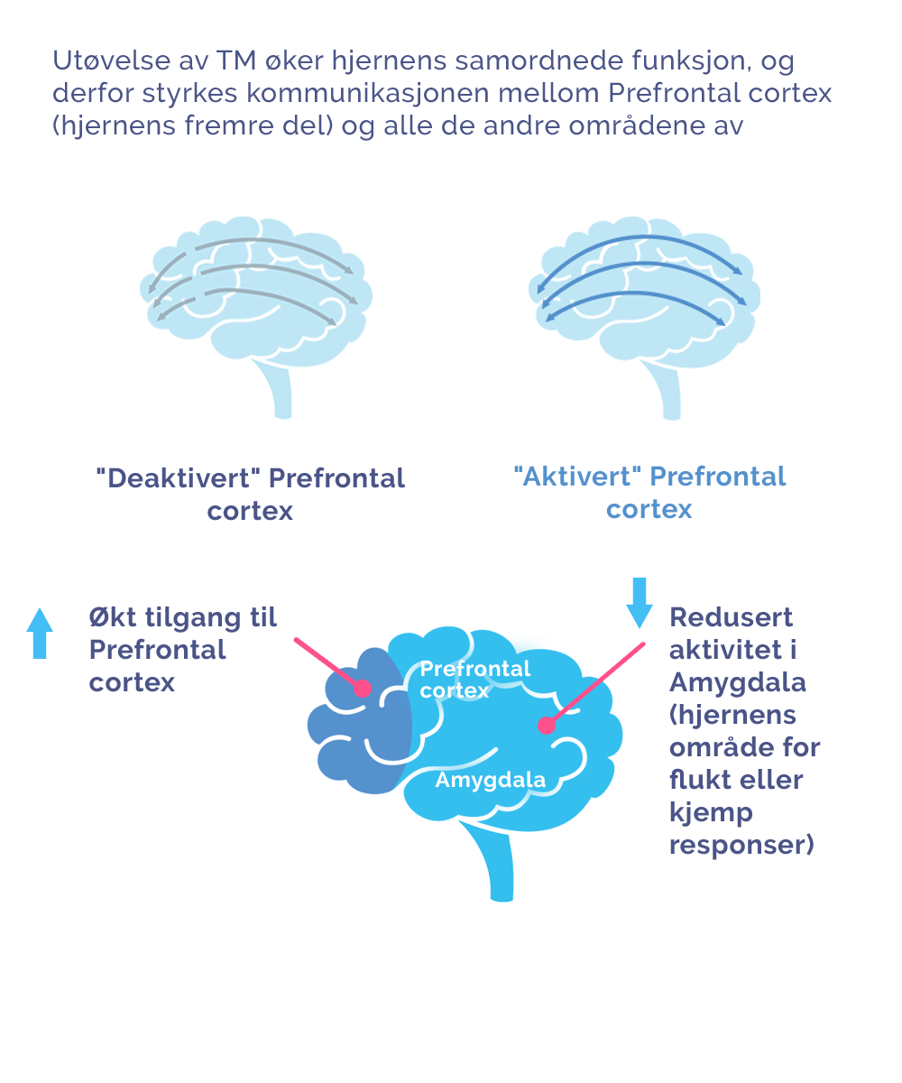 TM's effect on cortisol